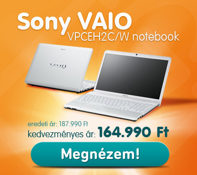 Sony VAIO notebook